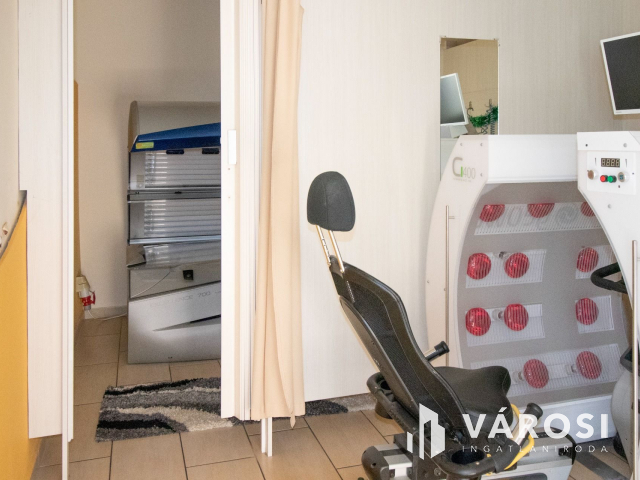 Korszerű ipari ingatlan napelemmel, városközpontban!