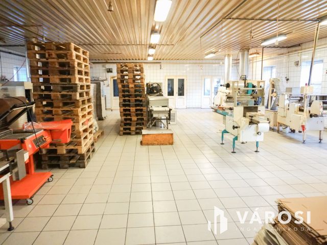 Élelmiszer feldolgozó ár alatt eladó!